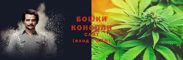 PSILOCYBIN Бугульма